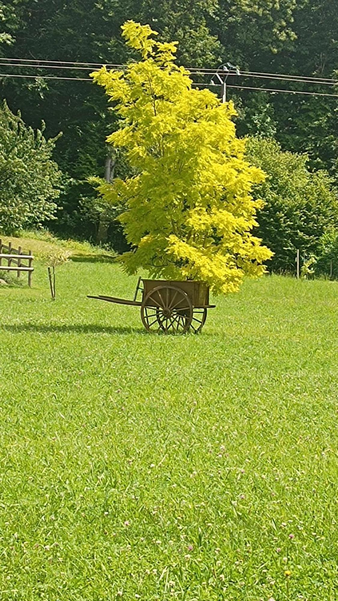 La Petite Maison Dans La Prairie Ecommoy Екстер'єр фото